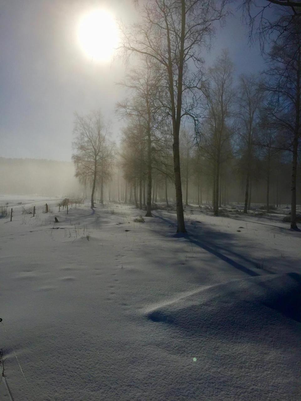 Sagverket Hoega Kusten Rö Exterior foto