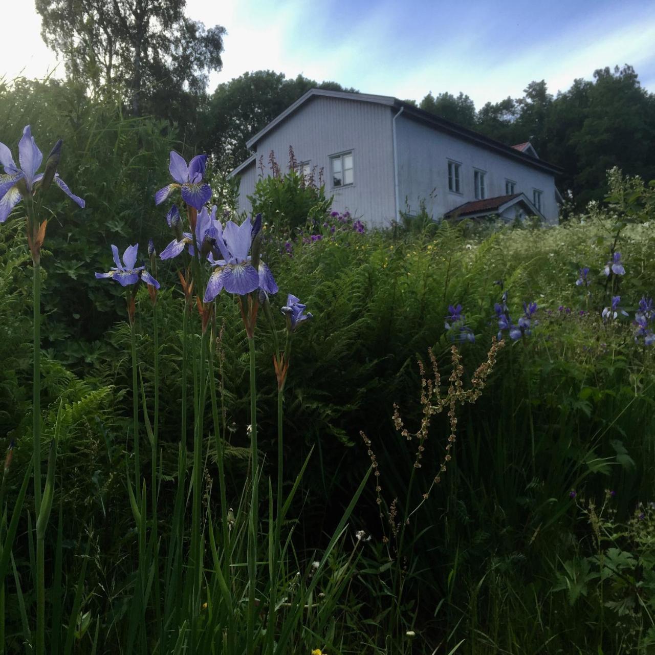 Sagverket Hoega Kusten Rö Exterior foto
